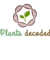 Green Minimalist Natural Seed Plant Logo (6)